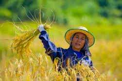 rural_woman_day